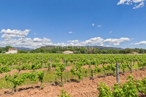 Villa a La Motte, Var, La Motte - € 4.400.000 | Ref: 87002309 - foto 28