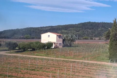 Villa a La Motte, Var, La Motte - € 4.400.000 | Ref: 87002309 - foto 29