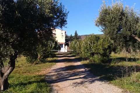 Villa a La Motte, Var, La Motte - € 4.400.000 | Ref: 87002309 - foto 30