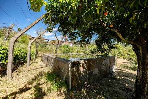 Villa i Serta, Castelo Branco, Serta - € 550.000 | Ref: C0222-07012 - foto 20