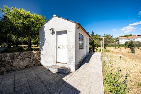 Villa i Serta, Castelo Branco, Serta - € 550.000 | Ref: C0222-07012 - foto 45