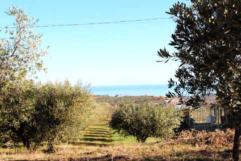 Helårsgrund i Cupello, Chieti, Cupello - € 49.000 | Ref: 171DG - foto 2