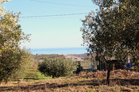 Helårsgrund i Cupello, Chieti, Cupello - € 49.000 | Ref: 171DG - foto 5
