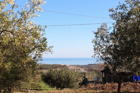 Helårsgrund i Cupello, Chieti, Cupello - € 49.000 | Ref: 171DG - foto 6
