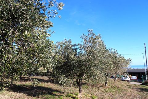 Helårsgrund i Cupello, Chieti, Cupello - € 49.000 | Ref: 171DG - foto 7
