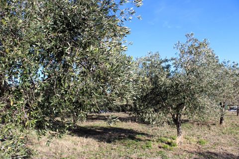 Helårsgrund i Cupello, Chieti, Cupello - € 49.000 | Ref: 171DG - foto 8