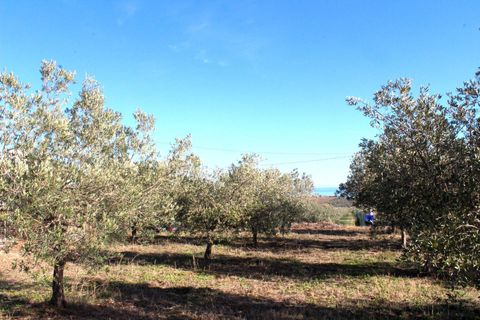 Helårsgrund i Cupello, Chieti, Cupello - € 49.000 | Ref: 171DG - foto 9