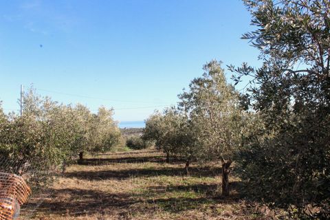Helårsgrund i Cupello, Chieti, Cupello - € 49.000 | Ref: 171DG - foto 10