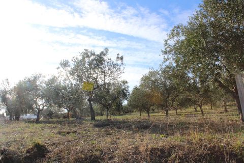 Helårsgrund i Cupello, Chieti, Cupello - € 49.000 | Ref: 171DG - foto 11