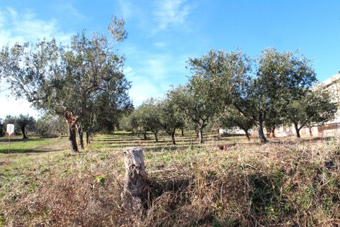 Helårsgrund i Cupello, Chieti, Cupello - € 49.000 | Ref: 171DG - foto 12