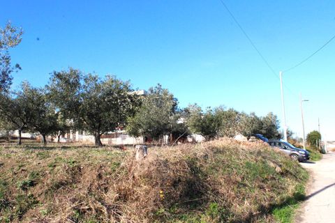 Helårsgrund i Cupello, Chieti, Cupello - € 49.000 | Ref: 171DG - foto 13