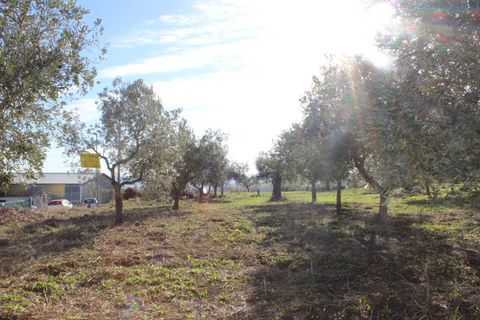 Helårsgrund i Cupello, Chieti, Cupello - € 49.000 | Ref: 171DG - foto 14