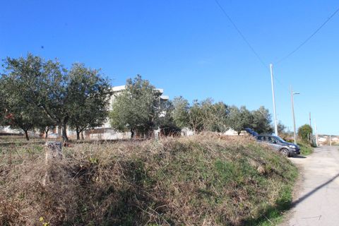 Helårsgrund i Cupello, Chieti, Cupello - € 49.000 | Ref: 171DG - foto 16