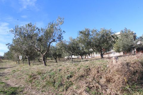 Helårsgrund i Cupello, Chieti, Cupello - € 49.000 | Ref: 171DG - foto 17