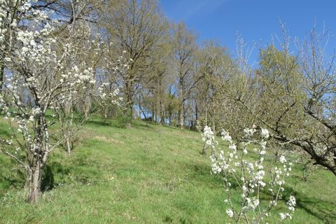 Villa a Nevoy, Loiret, Nevoy - € 170.000 | Ref: fr041158 - foto 4