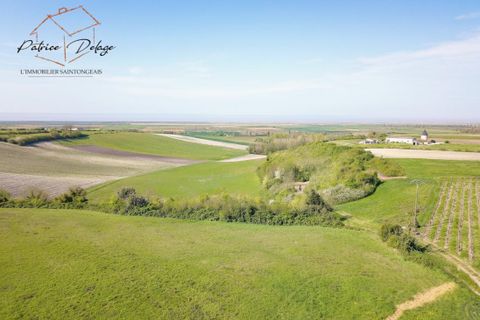 Villa i Floirac, Charente-Maritime, Floirac - € 159.000 | Ref: fr041302 - foto 4