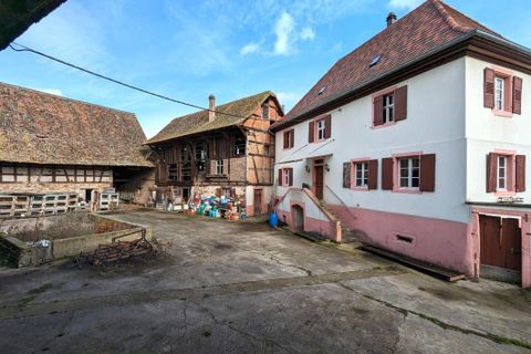 Villa a Entzheim, Bas-Rhin, Entzheim - € 775.000 | Ref: fr039933 - foto 2