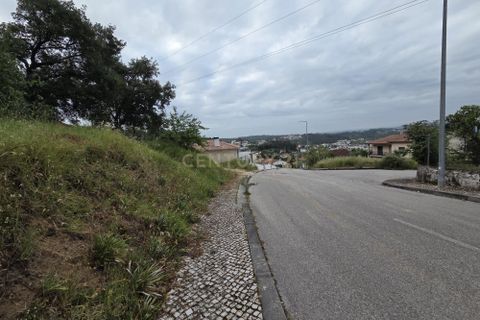 Helårsgrund i Pombal, Leiria, Pombal - € 98.000 | Ref: C0381-00892 - foto 3