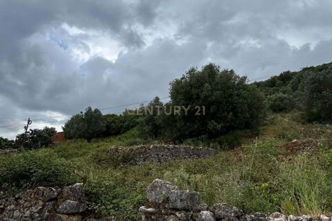 Villa i Alcanena, Santarem, Alcanena - € 70.000 | Ref: C0412-00966 - foto 7