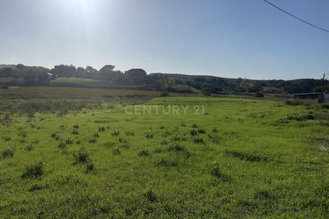 Helårsgrund i Alenquer, Lisbon, Alenquer - € 19.900 | Ref: C0383-00503 - foto 2