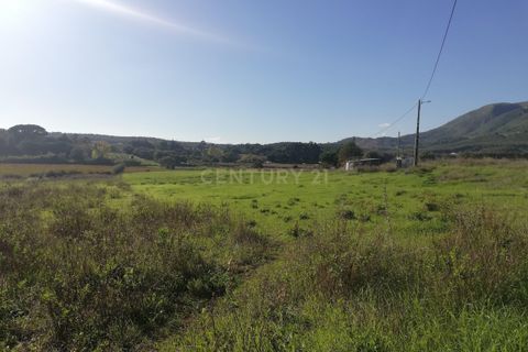 Helårsgrund i Alenquer, Lisbon, Alenquer - € 19.900 | Ref: C0383-00503 - foto 5