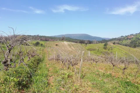 Helårsgrund i Alenquer, Lisbon, Alenquer - € 35.000 | Ref: C0383-00550 - foto 5