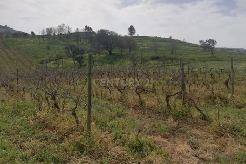 Helårsgrund i Alenquer, Lisbon, Alenquer - € 35.000 | Ref: C0383-00550 - foto 10