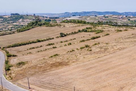 Helårsgrund i Loures, Lisbon, Loures - € 238.800 | Ref: C0383-00648 - foto 5