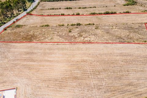 Helårsgrund i Loures, Lisbon, Loures - € 238.800 | Ref: C0383-00648 - foto 2