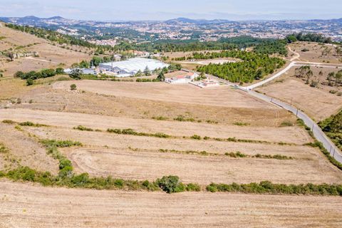 Helårsgrund i Loures, Lisbon, Loures - € 238.800 | Ref: C0383-00648 - foto 13