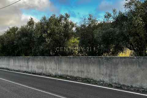 Helårsgrund i Loures, Lisbon, Loures - € 238.800 | Ref: C0383-00648 - foto 14