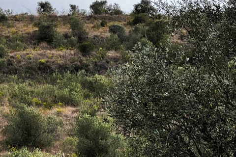 Helårsgrund i Loures, Lisbon, Loures - € 238.800 | Ref: C0383-00648 - foto 15