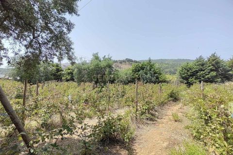 Helårsgrund i Alverca do Ribatejo, Lisbon, Alverca do Ribatejo - € 990.000 | Ref: C0383-01060 - foto 4