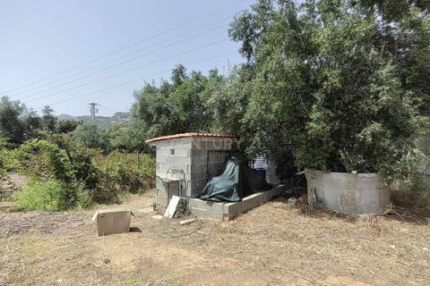 Helårsgrund i Alverca do Ribatejo, Lisbon, Alverca do Ribatejo - € 990.000 | Ref: C0383-01060 - foto 5