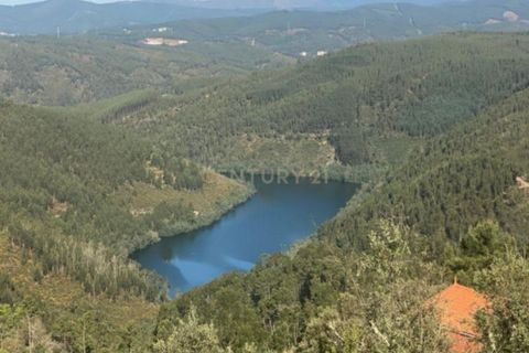 Villa i Macao, Santarem, Macao - € 53.000 | Ref: C0383-01116 - foto 1