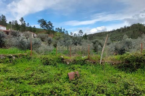 Villa i Macao, Santarem, Macao - € 53.000 | Ref: C0383-01116 - foto 6