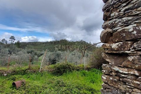 Villa i Macao, Santarem, Macao - € 53.000 | Ref: C0383-01116 - foto 11