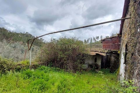 Villa i Macao, Santarem, Macao - € 53.000 | Ref: C0383-01116 - foto 12