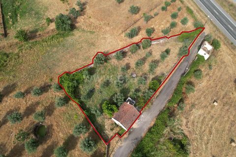 Landejendom i Castelo Branco, Castelo Branco, Castelo Branco - € 85.000 | Ref: 102260086 - foto 2