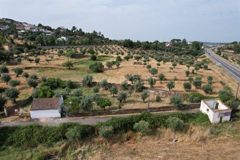 Landejendom i Castelo Branco, Castelo Branco, Castelo Branco - € 85.000 | Ref: 102260086 - foto 3