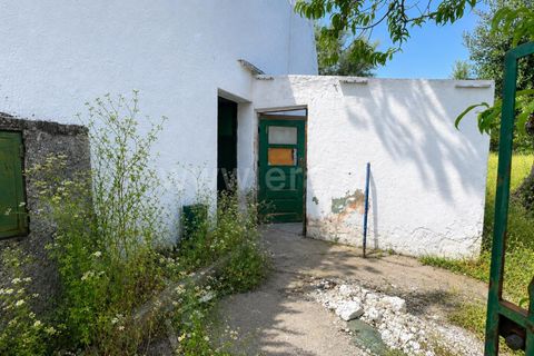 Landejendom i Castelo Branco, Castelo Branco, Castelo Branco - € 85.000 | Ref: 102260086 - foto 7