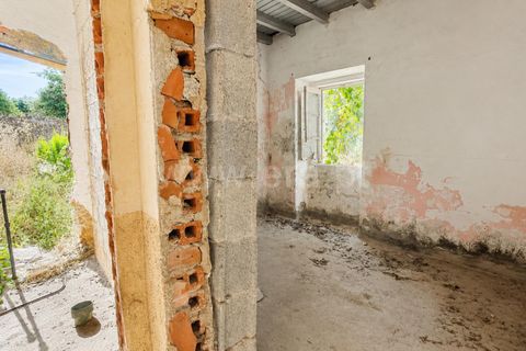 Landejendom i Castelo Branco, Castelo Branco, Castelo Branco - € 85.000 | Ref: 102260086 - foto 12