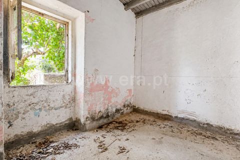 Landejendom i Castelo Branco, Castelo Branco, Castelo Branco - € 85.000 | Ref: 102260086 - foto 13