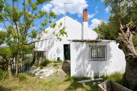 Landejendom i Castelo Branco, Castelo Branco, Castelo Branco - € 85.000 | Ref: 102260086 - foto 18