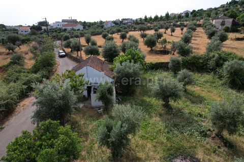 Landejendom i Castelo Branco, Castelo Branco, Castelo Branco - € 85.000 | Ref: 102260086 - foto 20