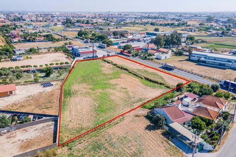 Helårsgrund i Benavente, Santarem, Benavente - € 599.000 | Ref: C0383-01213 - foto 13