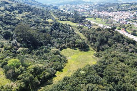 Helårsgrund i Loures, Lisbon, Loures - € 55.000 | Ref: C0383-01277 - foto 7