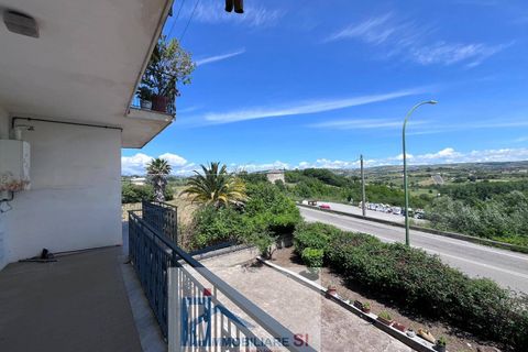 Lejlighed i Benevento, Benevento, Benevento - € 89.000 | Ref: SI232 - foto 18