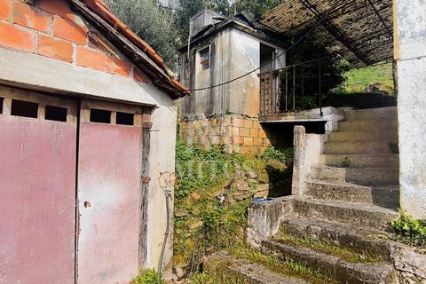Villa i Viana do Castelo, Viana do Castelo, Viana do Castelo - € 155.000 | Ref: S244 - foto 4