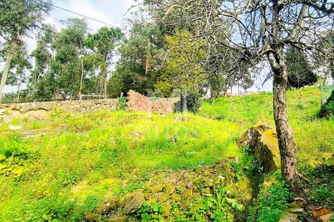 Villa i Viana do Castelo, Viana do Castelo, Viana do Castelo - € 155.000 | Ref: S244 - foto 5